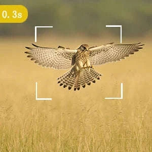 36MP 2K Trail Camera with 120° Detection and No Glow Night Vision-HC-900A / China Mainland