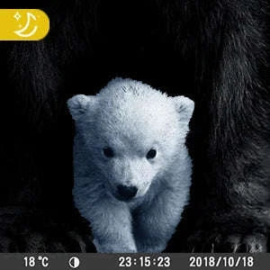 36MP 2K Trail Camera with 120° Detection and No Glow Night Vision-HC-900A / China Mainland