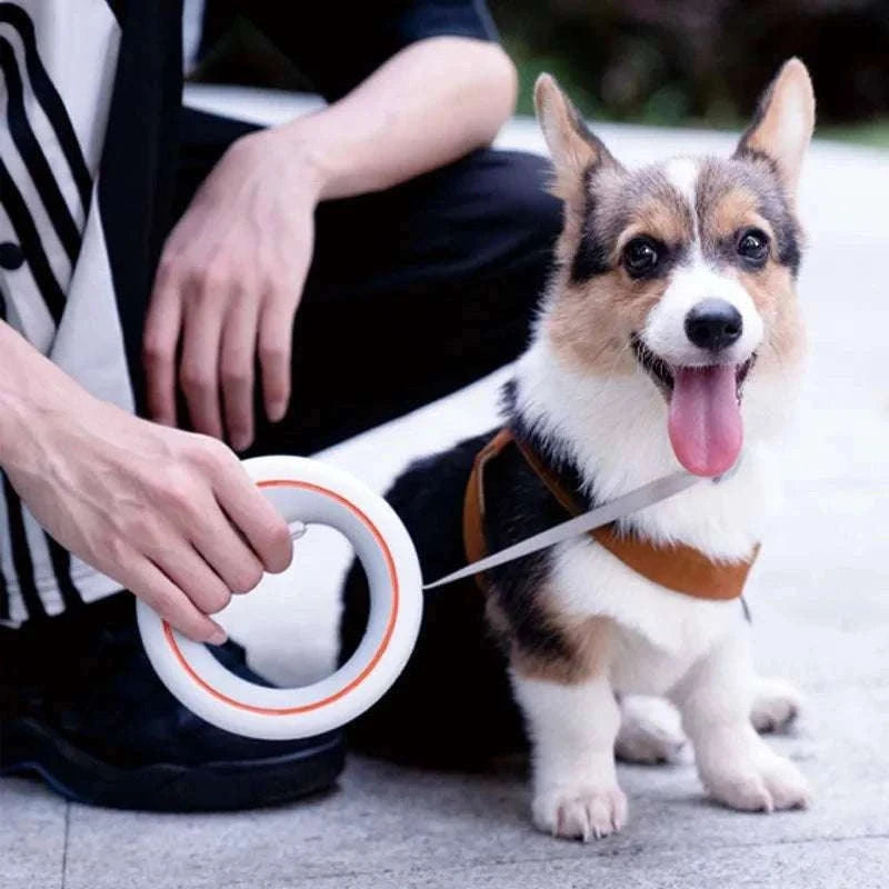 3m Retractable Dog Leash with One-Hand Brake & Anti-Slip Handle-Orange