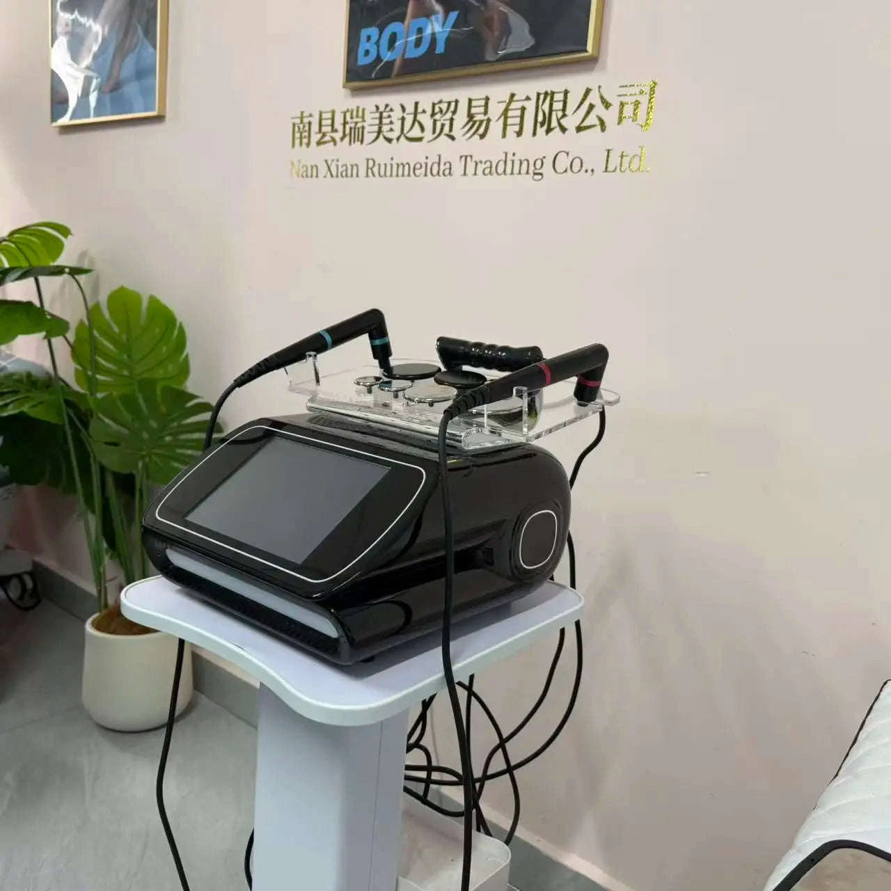 448KHz Circulation Thermal Penetration Beauty Machine-extra  service / Canada / 220 V