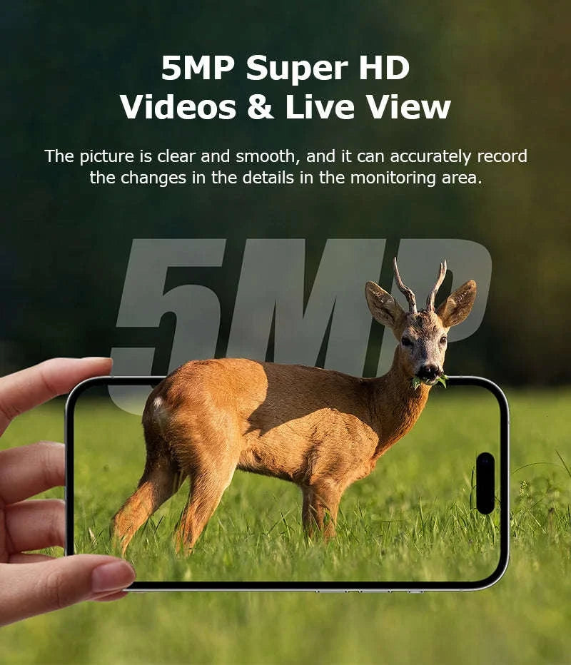 4G 2K 5MP Trail Camera with PIR Motion Detection & Night Vision-only Cam 32GB / france