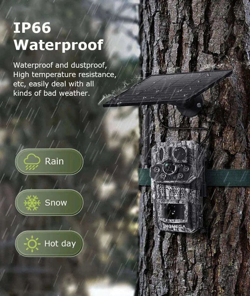 4G 2K 5MP Trail Camera with PIR Motion Detection & Night Vision-only Cam 32GB / france