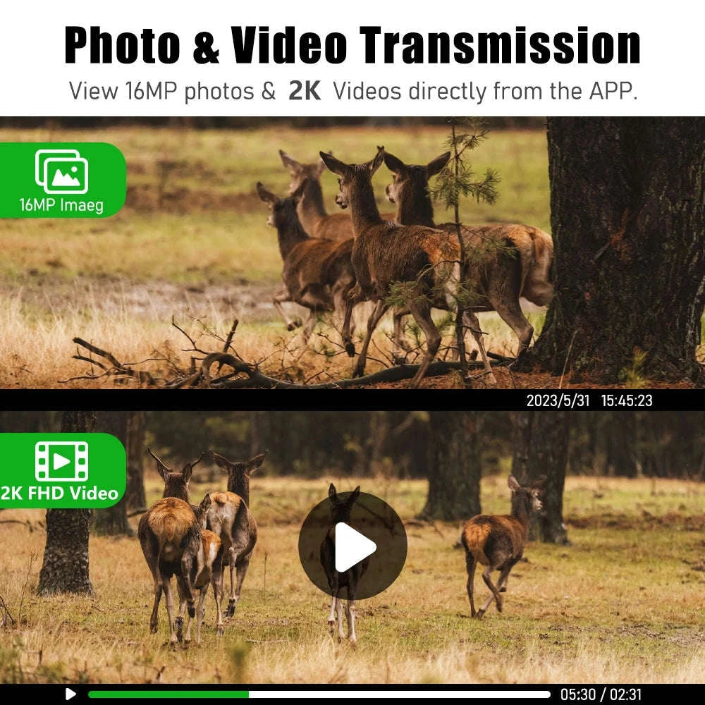 4G Cellular 2K Solar PIR Motion Activated Trail Camera IP66 Night Vision-EU 4G Trail Cam 64G / China Mainland