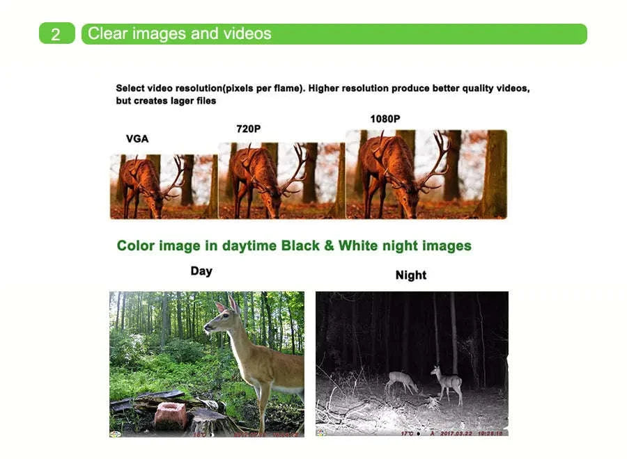 4G Cellular Trail Camera 36MP 1080P Night Vision IP66-Default Title