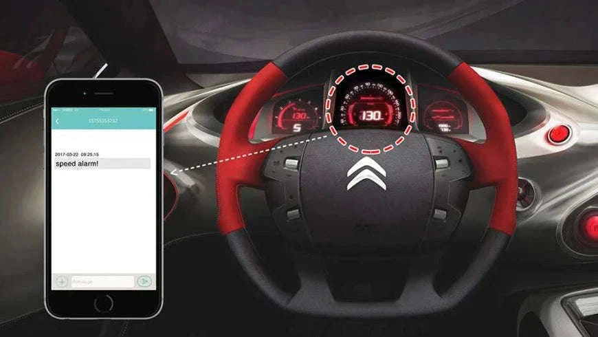 4G GPS Car Tracker with 5000mAh Battery, Waterproof, Shock Alarm-2G / China Mainland