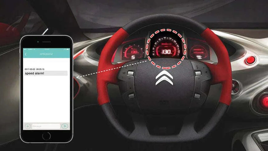 4G GPS Car Tracker with 5000mAh Battery, Waterproof, Shock Alarm-2G / China Mainland