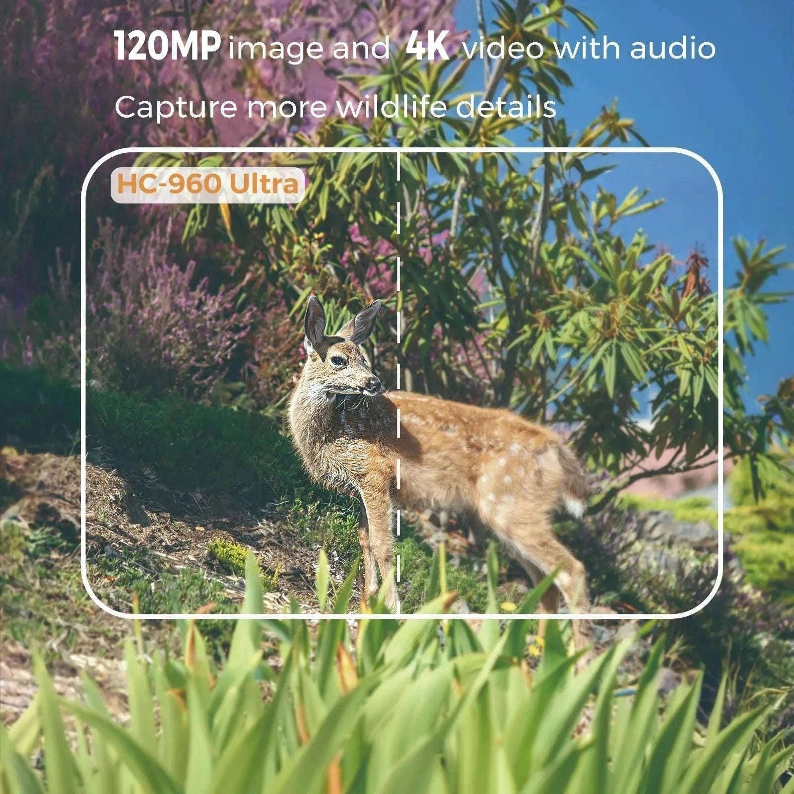 4G LTE Hunting Camera with 4K Live Stream and 8000mAh Battery-