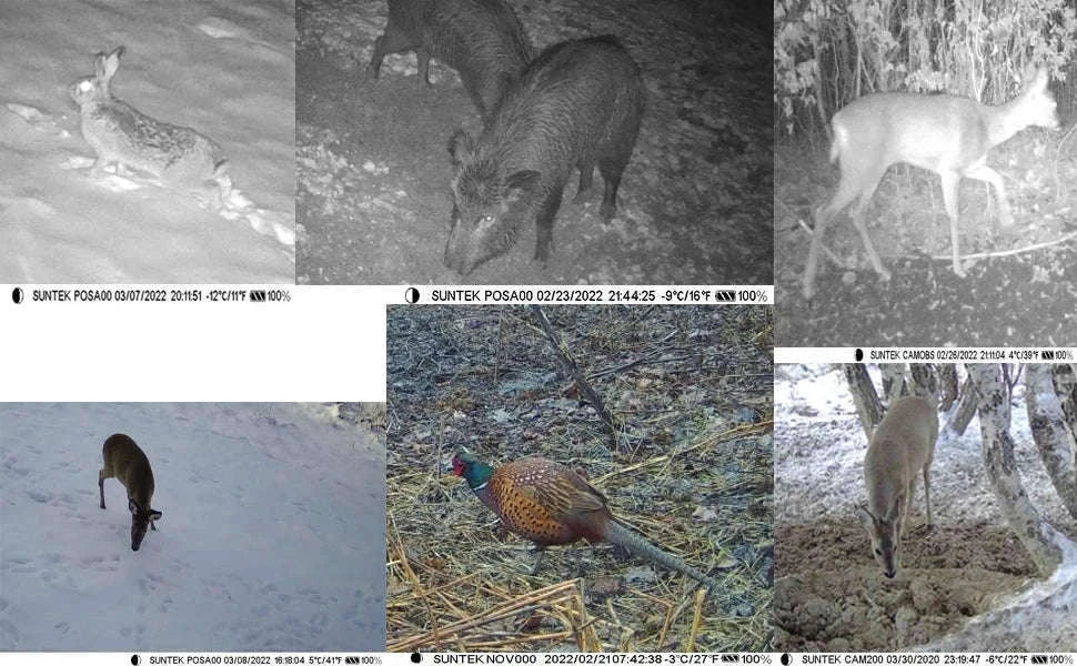 4G Trail Camera with APP Live Video, 4K Recording, 30MP Photos-EU Version