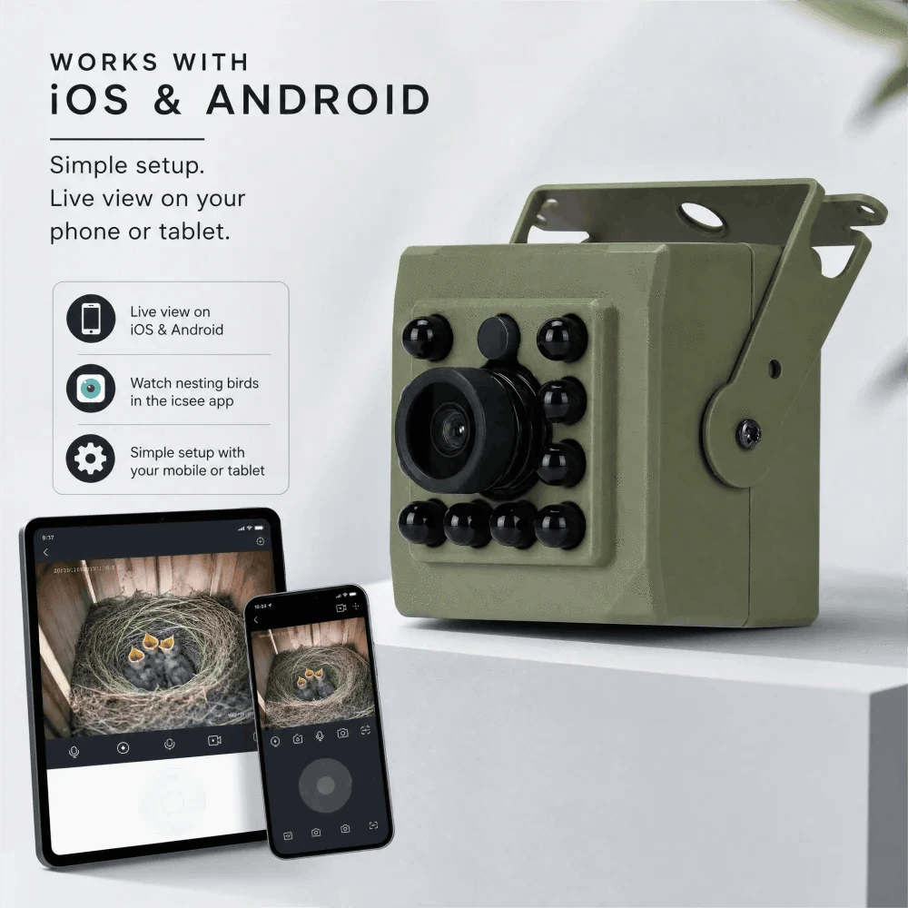 4K 8MP WiFi Bird Box Wildlife Camera with icsee App-8MP WIFI IMX415