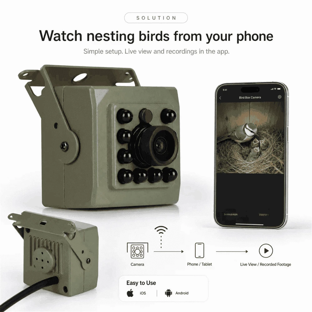 4K 8MP WiFi Bird Box Wildlife Camera with icsee App-8MP WIFI IMX415
