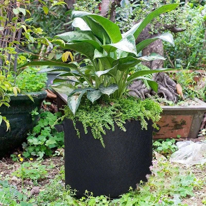 5-Pack Fabric Grow Bags for Vegetables, Flowers & Herbs-30Gallons 60x40cm