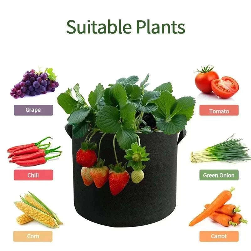 5-Pack Fabric Grow Bags for Vegetables, Flowers & Herbs-30Gallons 60x40cm
