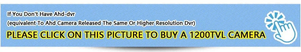 5MP Full Color Night Vision CCTV Camera IP66 Outdoor AHD-1080P NoOSDcable-PAL / 3.6mm