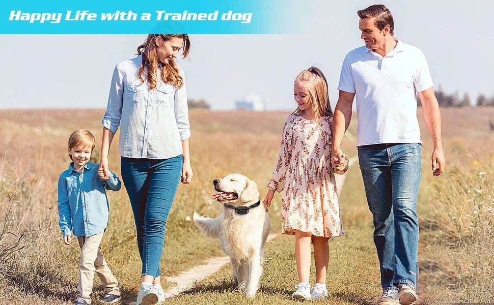 800m Waterproof Dog Training Collar with LCD Remote-G / EU Plug