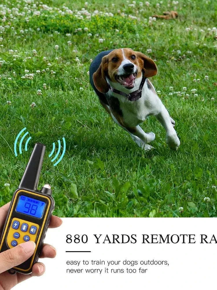 800m Waterproof Dog Training Collar with LCD Remote-G / EU Plug