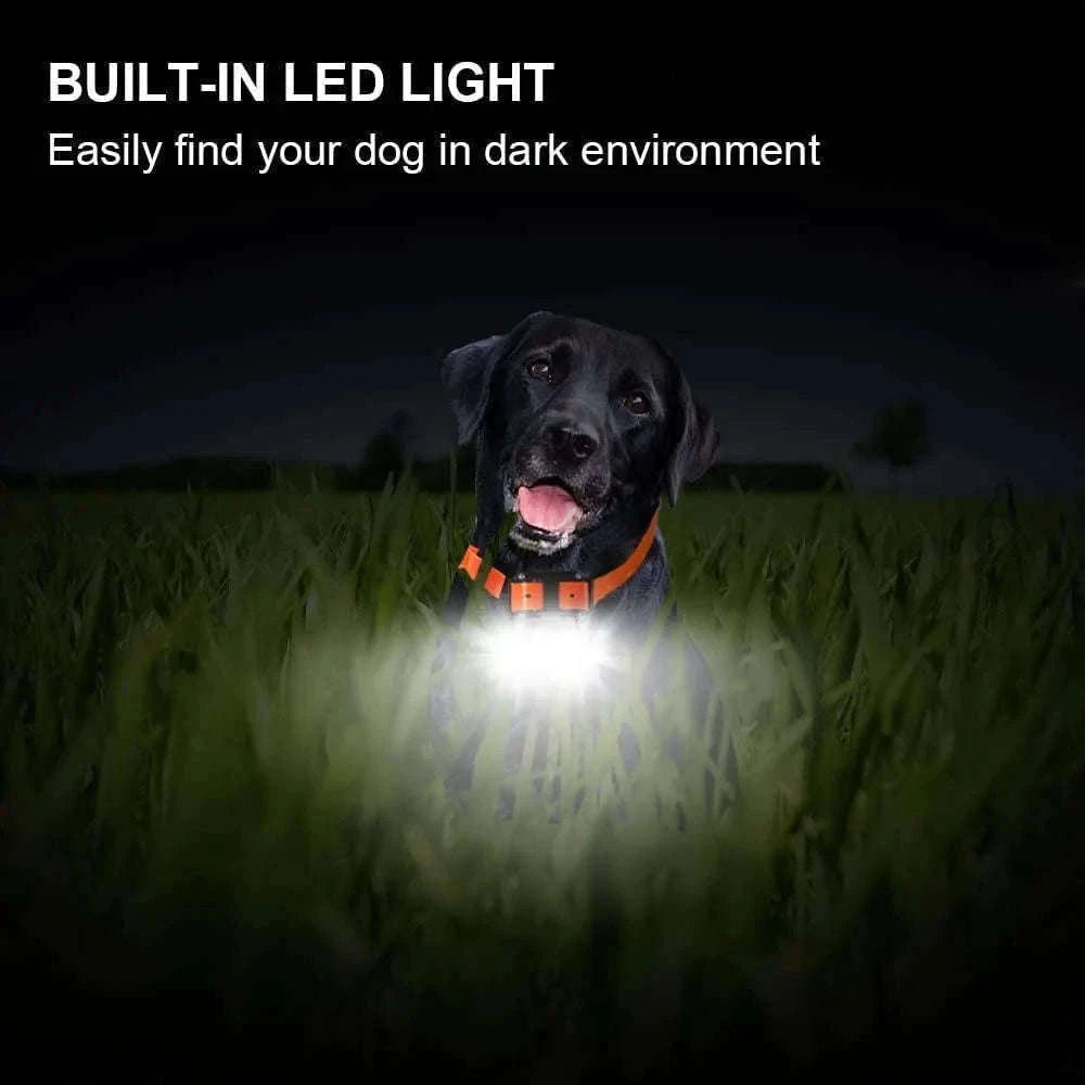 800m Waterproof Dog Training Collar with LCD Remote-G / EU Plug