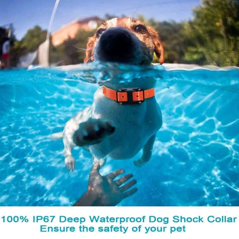 800m Waterproof Dog Training Collar with LCD Remote-G / EU Plug