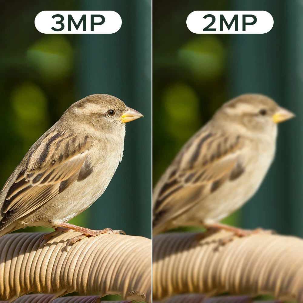 Solar Powered Bird Feeder Camera with 2K Night Vision