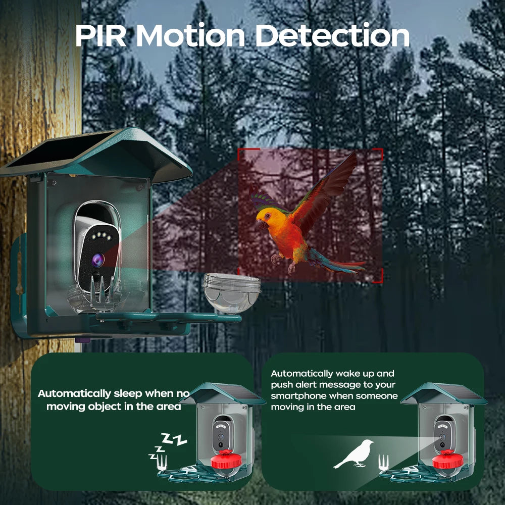 Solar Powered Bird Feeder Camera with 2K Night Vision