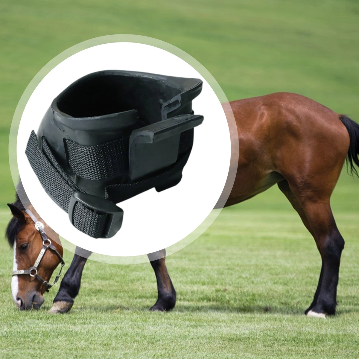 Guêtre de sabot de cheval en caoutchouc - Botte simple