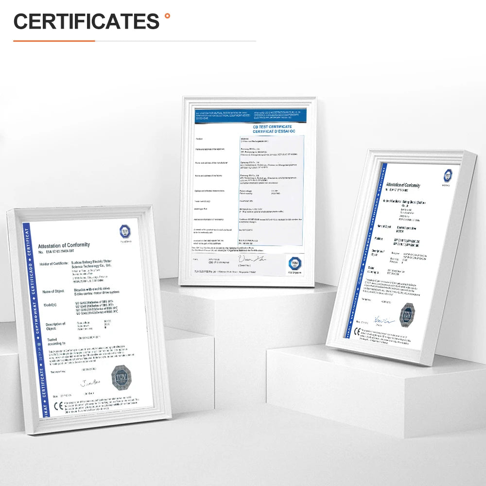 Electric Bicycle Battery Hailong 21700/18650 Pack for Powerful Ebikes