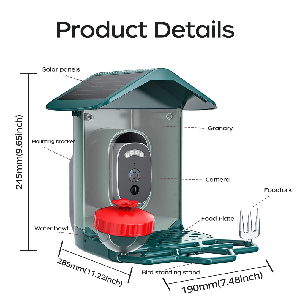Solar Powered Bird Feeder Camera with 2K Night Vision