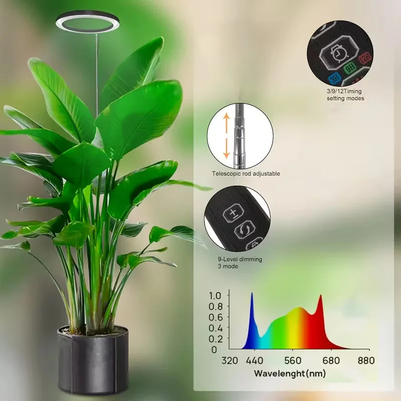 LED Grow Light for Indoor Plants with Timer and Extendable Stand