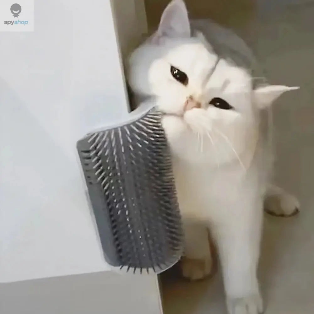 Best-selling Item Massager for Cats PP Material Pets Goods Brush Remove Hair Comb Grooming Table Dogs Care Royal Spy-shop.com