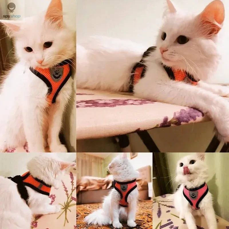 Cat Harness Vest Walking Lead Leash For Puppy Dogs Collar Polyester Adjustable Mesh Dog Harness For Small Medium Pet Accessories 