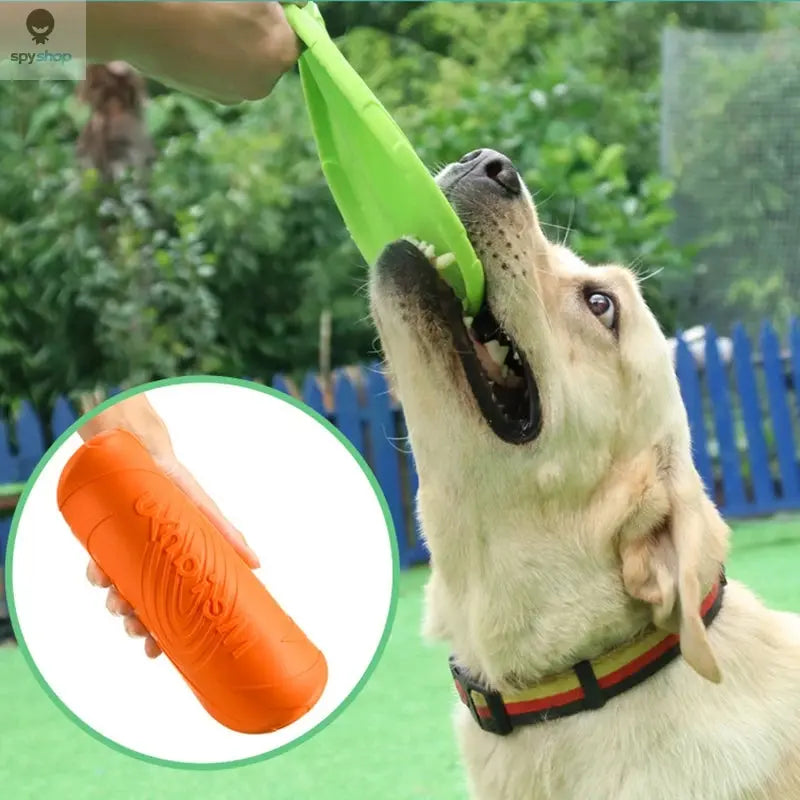 Dog Toys Silicone Flying Disc Fashion Multicolor Resistant Chew Toys Puppy Outdoor Game Trainning Interactive Supplies 
