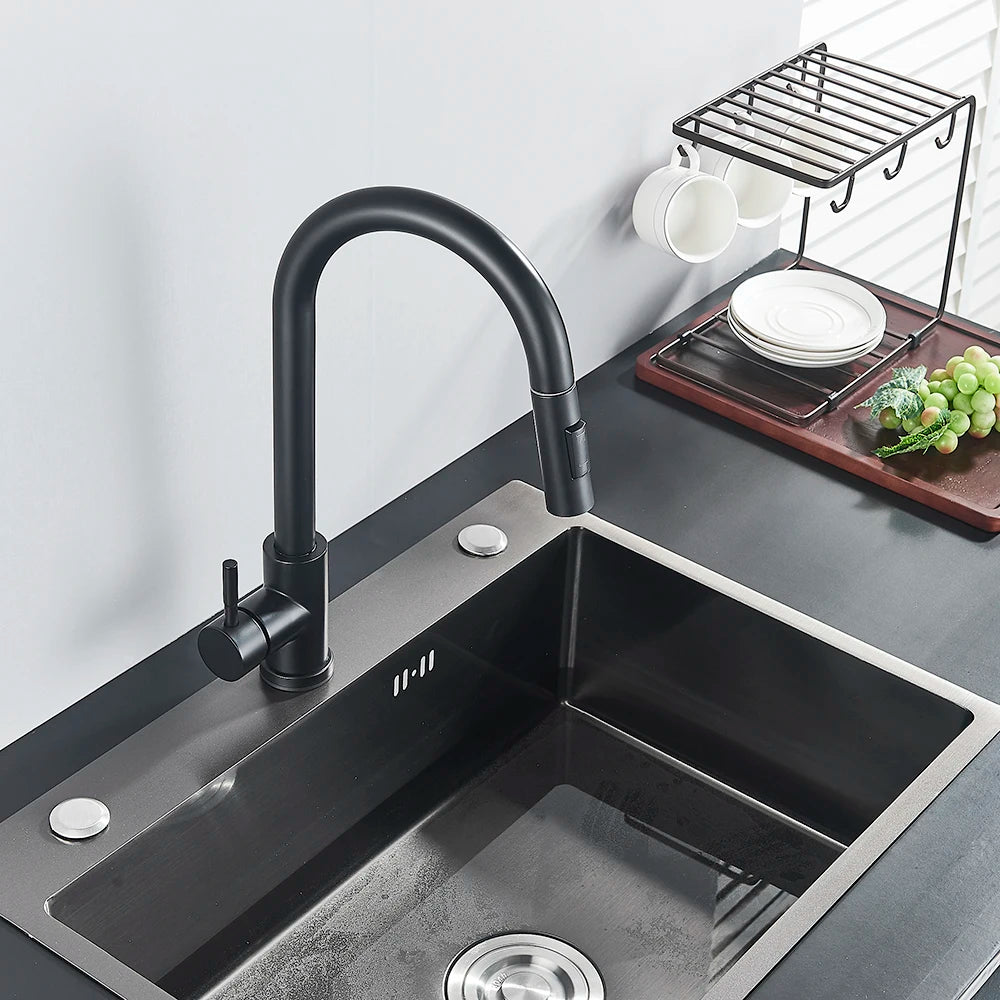 Black Kitchen Faucet with Pull-Out Dual-Function Spray