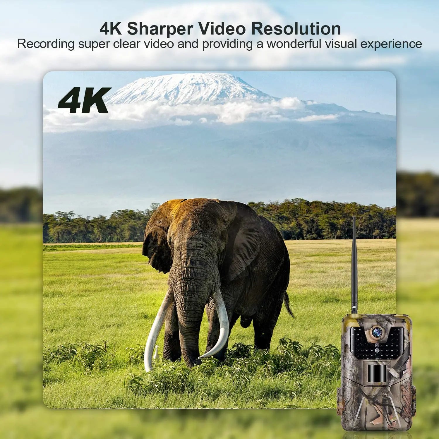 HC900PRO 4G Wireless Trail Camera with Live App and 30MP Night Vision