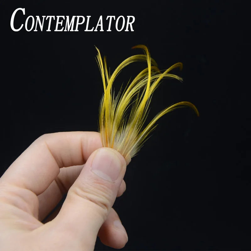 Golden Pheasant Crest Feathers, 50 Pack
