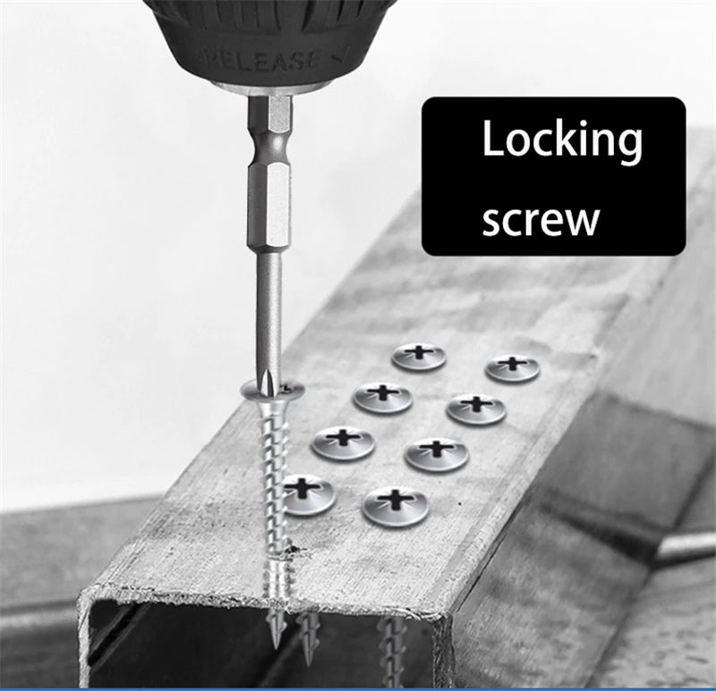 Ten-Piece 100mm Magnetic Slotted and Phillips Bit Set