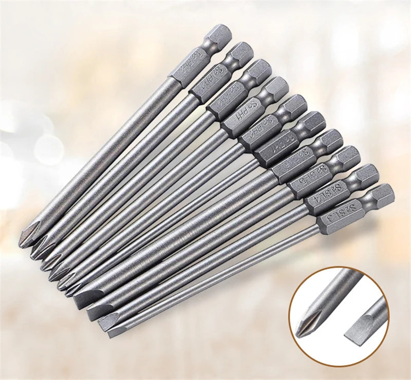 Ten-Piece 100mm Magnetic Slotted and Phillips Bit Set