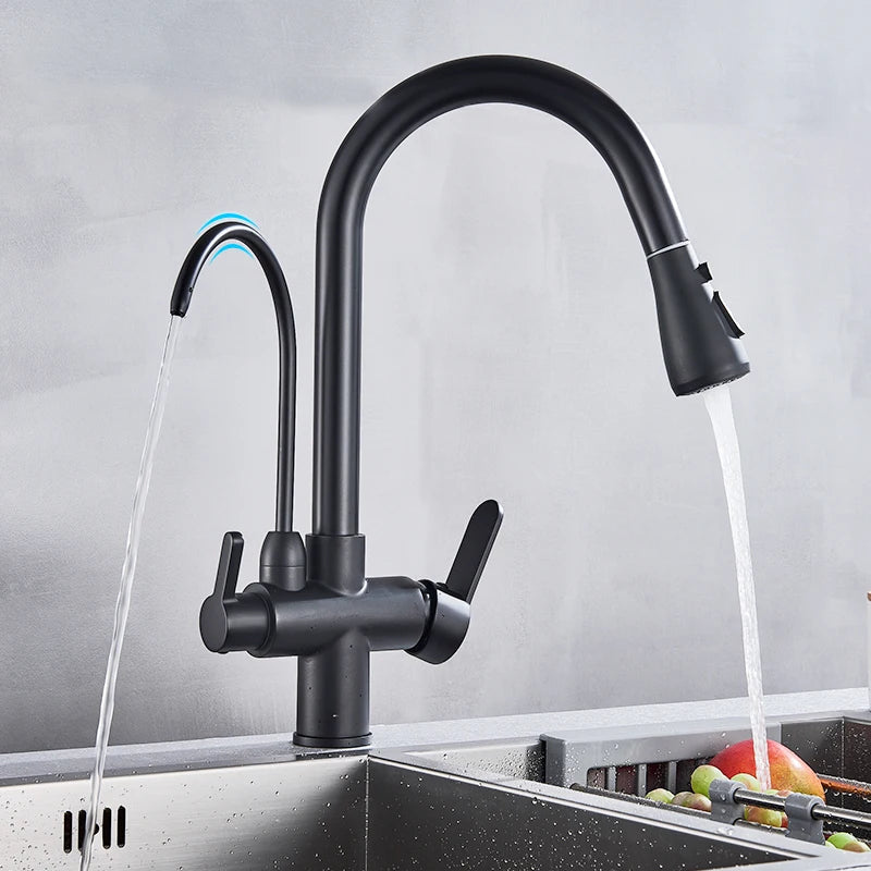 Purification Water Kitchen Faucet Black 360° Rotating Filter Water Faucets Pull Out Sprayer 3 Ways Hot Cold Water Mixer Tap 