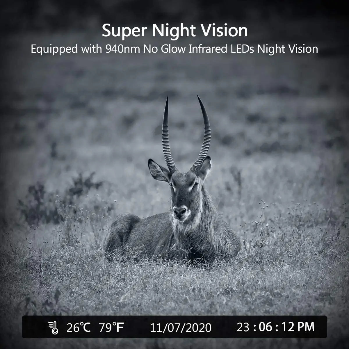 HC802A Wireless Trail Camera, 24MP Night Vision Wildlife Camera