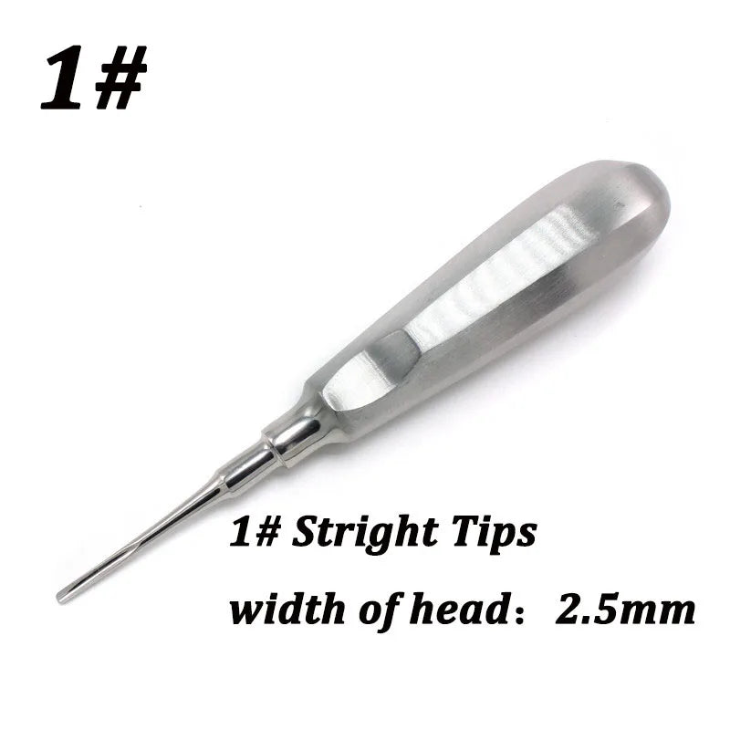 Stainless Steel Dental Elevators, 1 Piece
