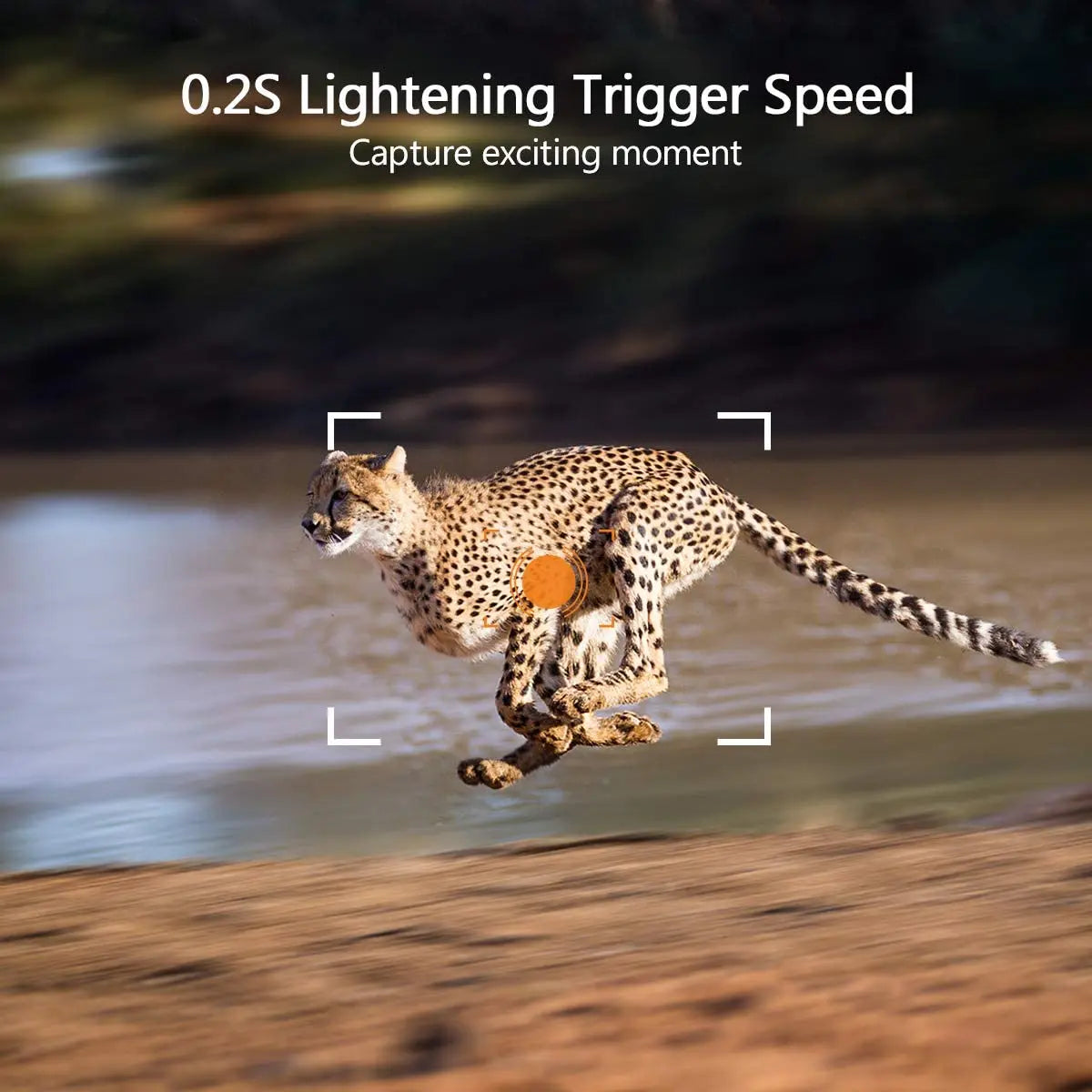 4K Live Show APP Clould Service Hunting Trail Camera HC801PROLI Stream Media 5000Mah Recharger Battery 4G 30MP Night Vision 