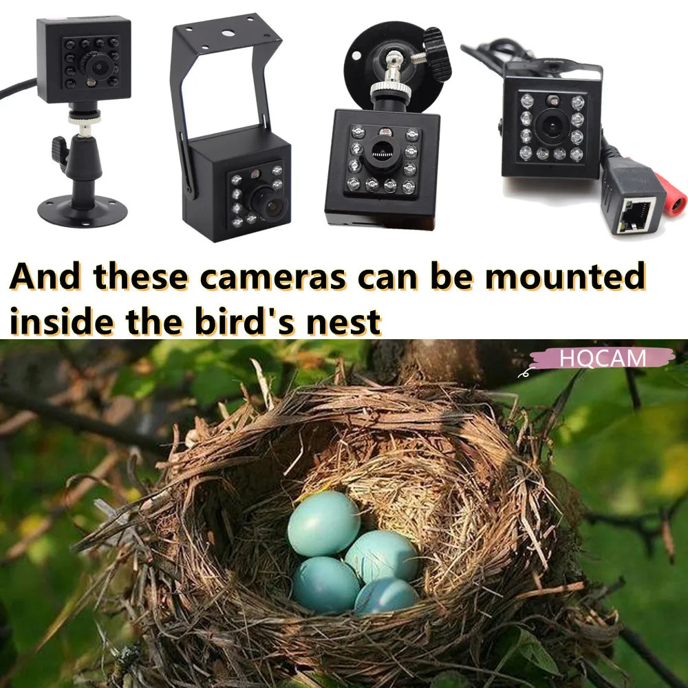 5MP 1080P Outdoor WiFi Bird Watching Camera Kit