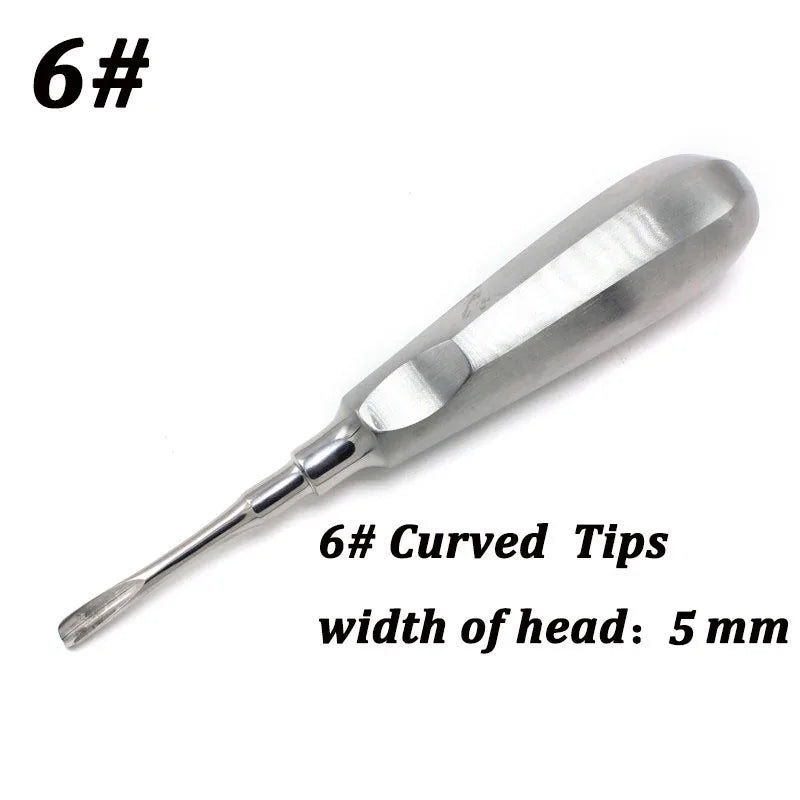 Stainless Steel Dental Elevators, 1 Piece