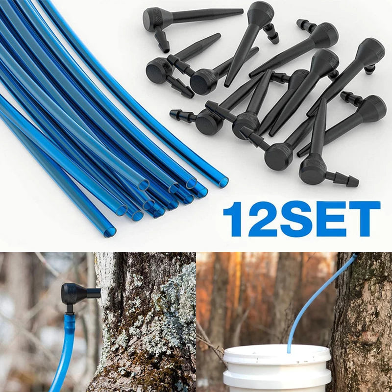 Maple Sap Tapping Kit - Six or Twelve Sets