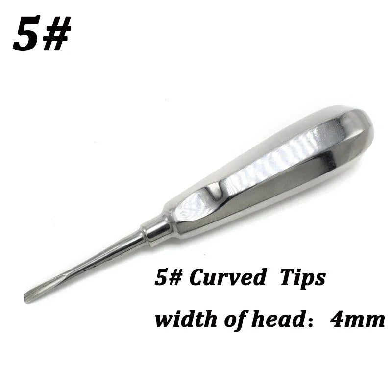 Stainless Steel Dental Elevators, 1 Piece