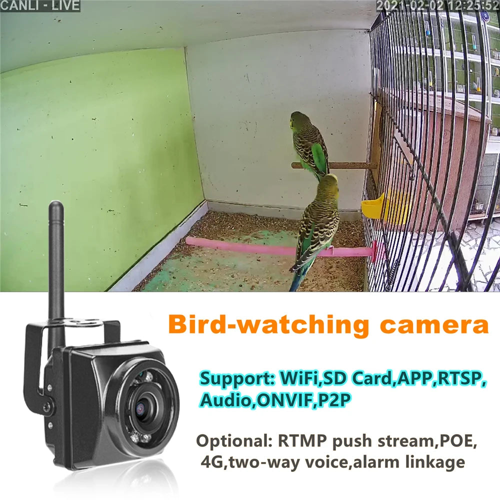 Bird Box Camera Kit with 5MP Night Vision and IP66