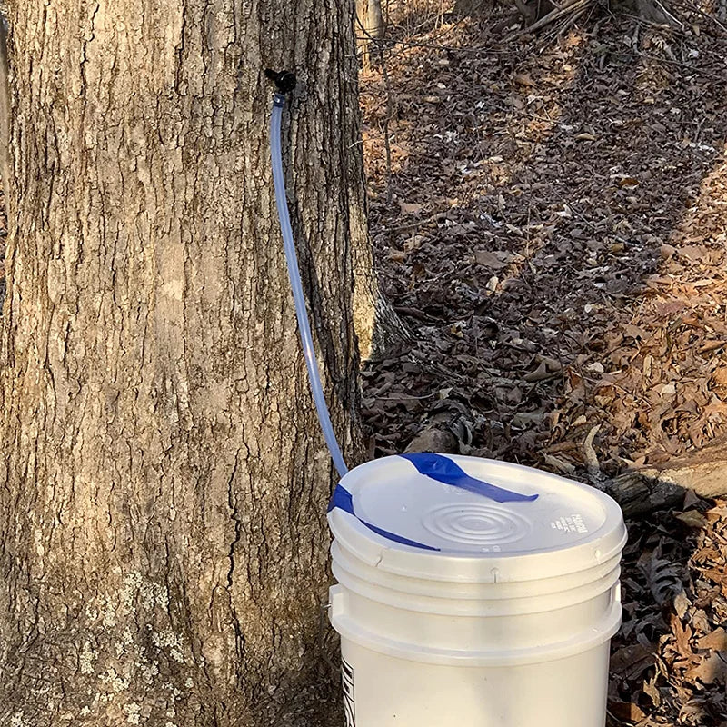 Maple Sap Tapping Kit - Six or Twelve Sets