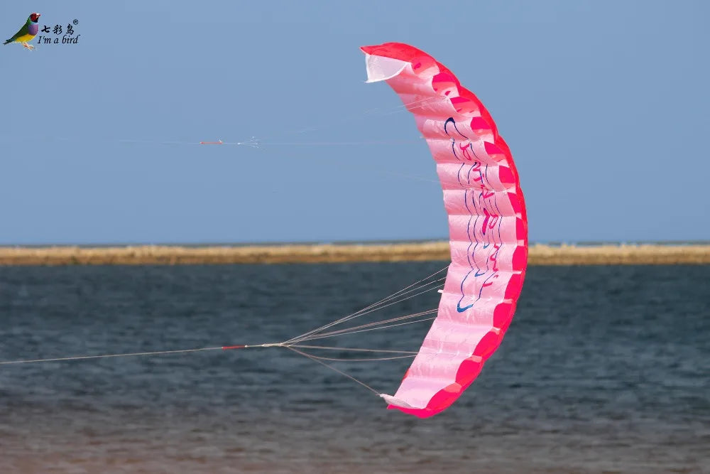 Διπλής γραμμής αερόβατο kite με λαβές