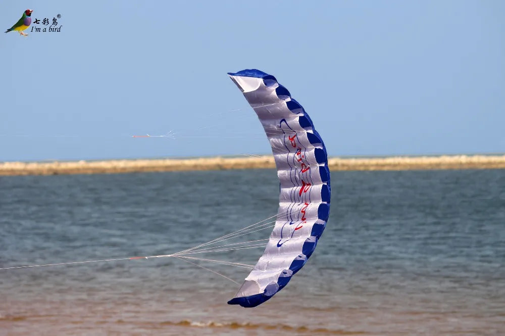 Διπλής γραμμής αερόβατο kite με λαβές