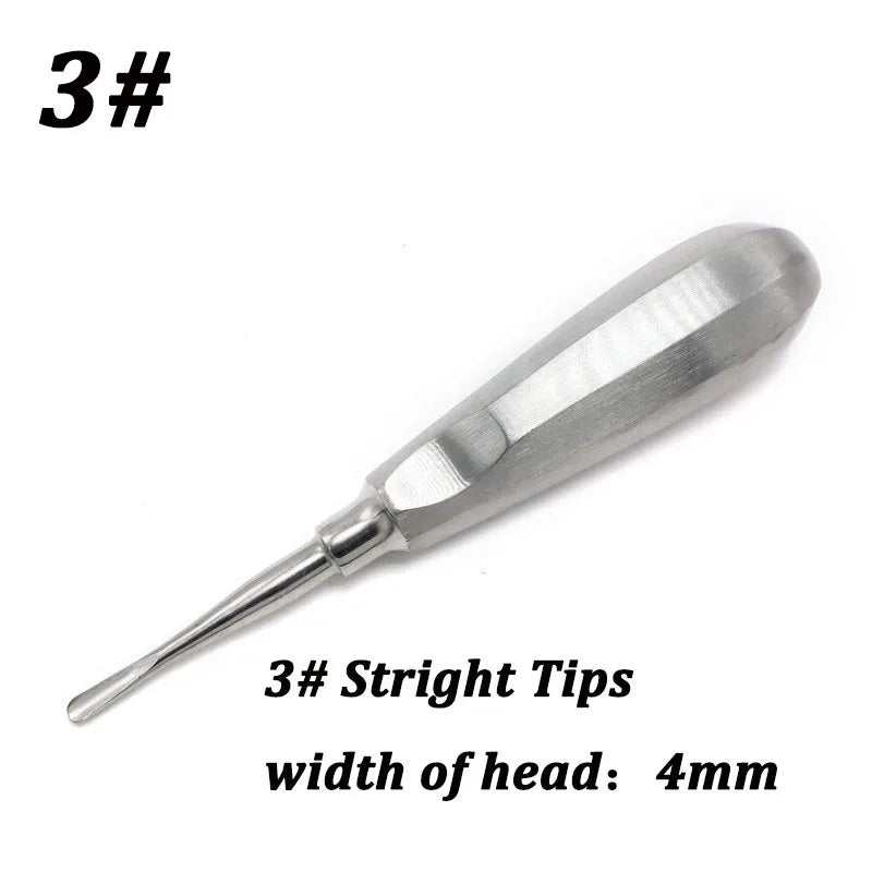Stainless Steel Dental Elevators, 1 Piece
