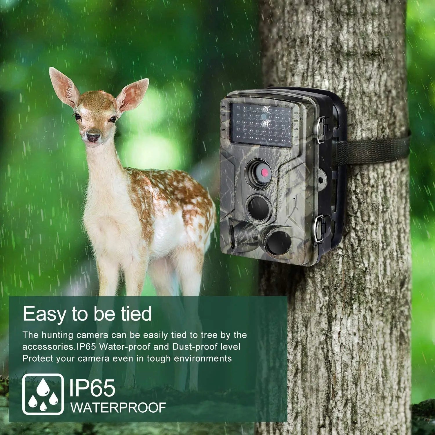 HC802A Wireless Trail Camera, 24MP Night Vision Wildlife Camera