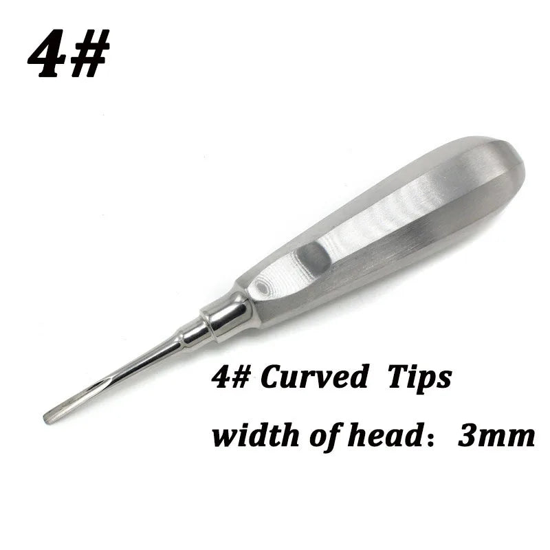 Stainless Steel Dental Elevators, 1 Piece